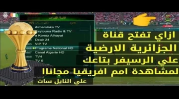 نزل التردد.. القناة الأرضية الجزائرية 1 على نايل سات لمباراة تونس ومالي